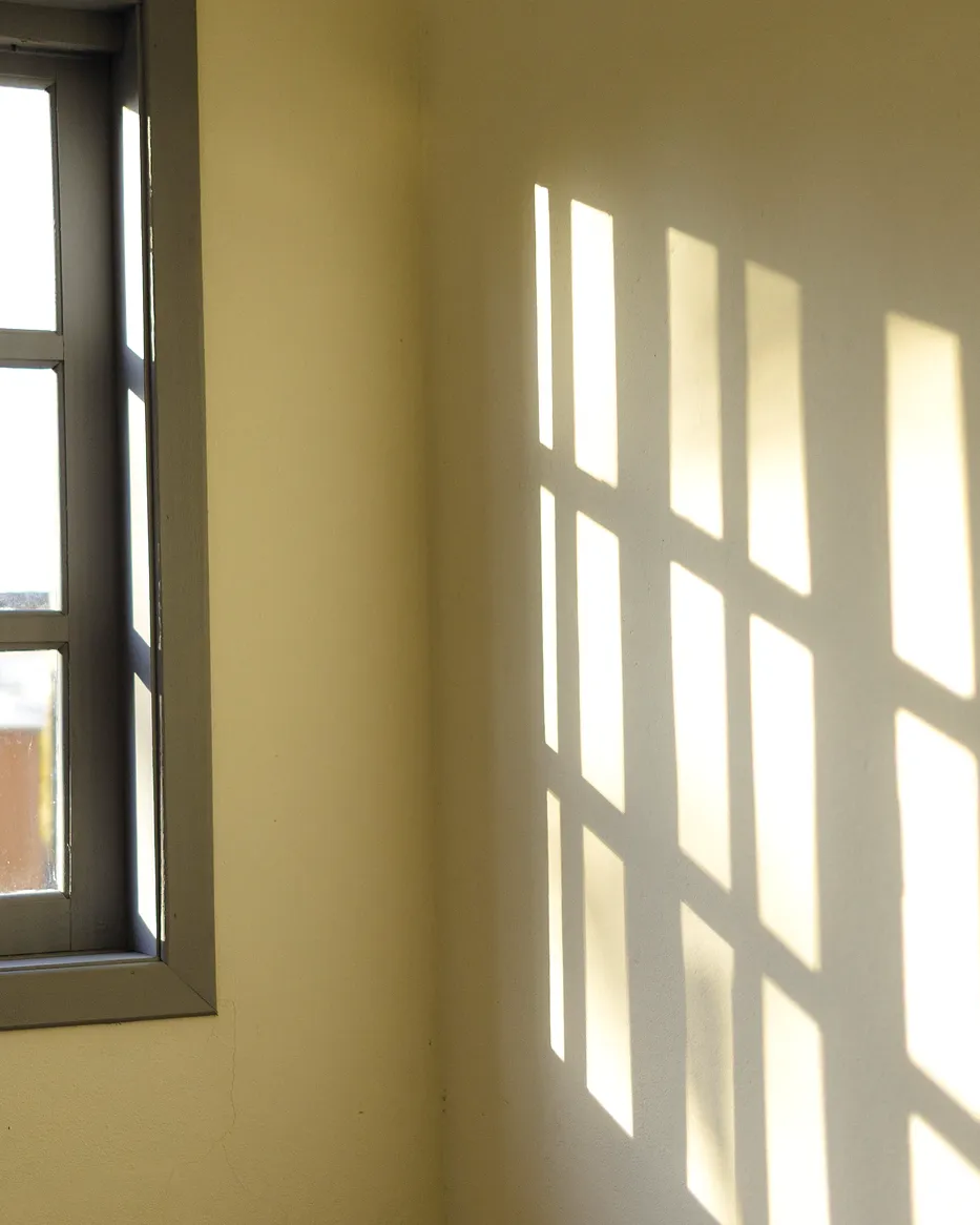 Luz da manhã a desenhar a caixilharia da janela sobre uma parede de cal