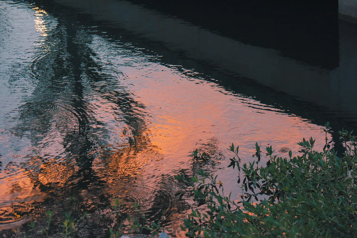 Água calma a refletir um céu claro e ramos de árvores, com reflexos alaranjados à superfície.